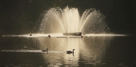 Detail of Victoria Park, London (#03206)